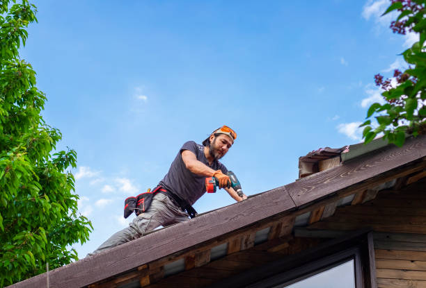 Best Roof Moss and Algae Removal  in Pegram, TN