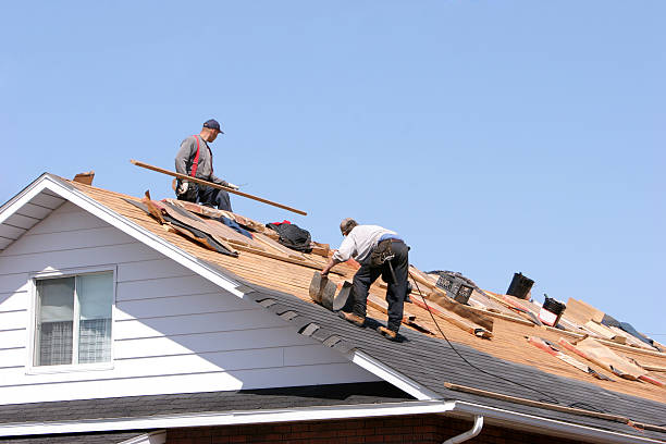 Best Roof Leak Repair  in Pegram, TN