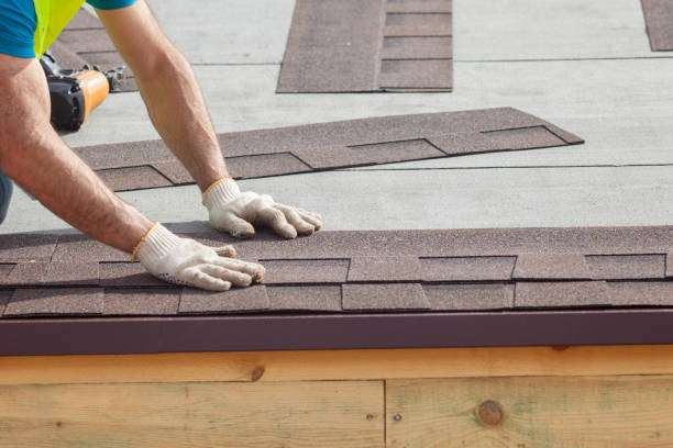 Best Solar Panel Roofing Installation  in Pegram, TN